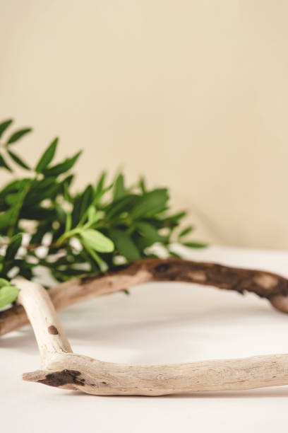 istock Natural background for cosmetic products. 1281077566