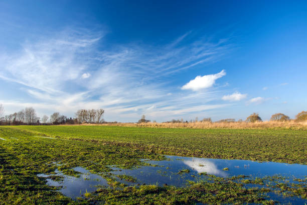 istock Wet green winter field, horizon and white clouds on a blue sky 1281079925