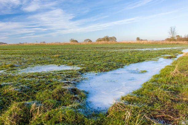 istock Frozen puddle on a green field with winter grain, clouds on the sky 1281079961