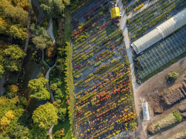 istock seedlings different plants on farm drone view 1281080980