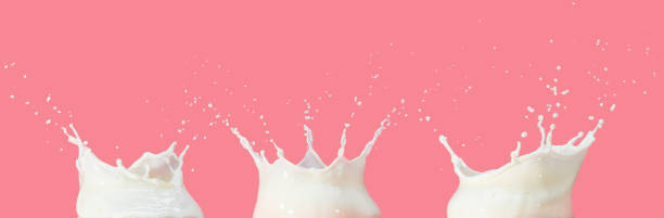 white liquid splashes on colored background set of three milk splashes isolated on pastel pink background splash crown stock pictures, royalty-free photos & images