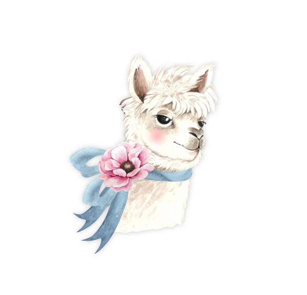 istock watercolor illustration white alpaca with pink flower, cute animal on white background 1281081073