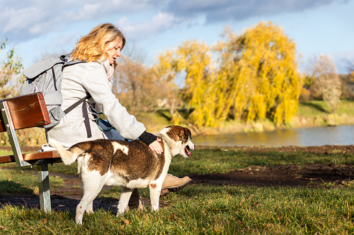 Woman sitting on bench with her dog and enjoying sunny day in autumn park. Relaxation with pet outdoors in fall season