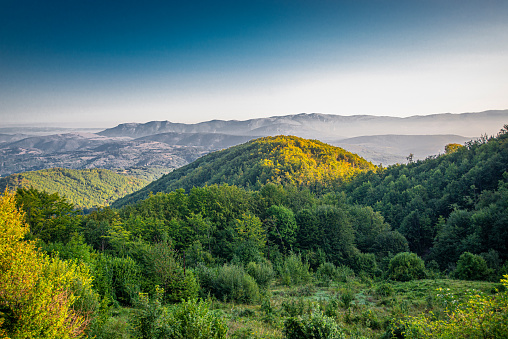 Trem top, of Dry Mountain or Suva Planina  , Serbia