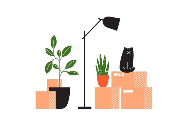 illustrations, cliparts, dessins animés et icônes de passer au nouveau concept de maison avec des boîtes de carton avec des choses, lampe, plantes d’intérieur et chat - déménagement