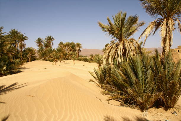 istock The doors of the desert in Tata, Morocco 1281089034