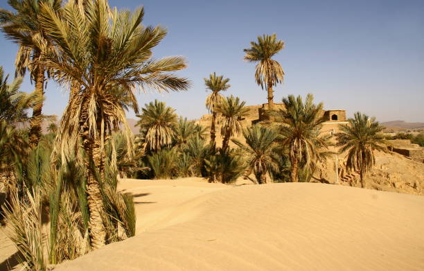 istock The doors of the desert in Tata, Morocco 1281089075