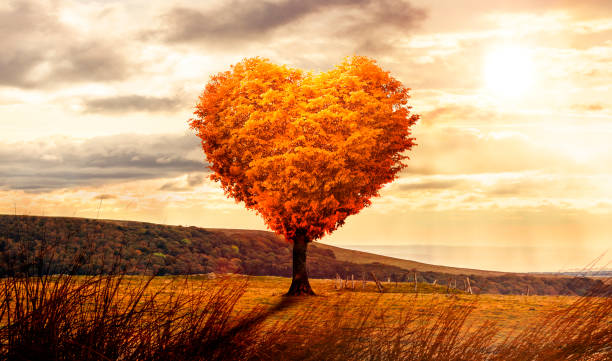 istock Heart shaped tree in a surreal landscape at sunset 1281089112