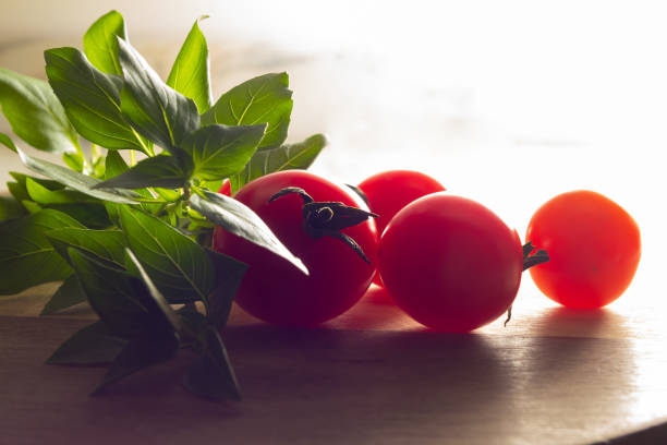 Tomatoes and basil leaves.