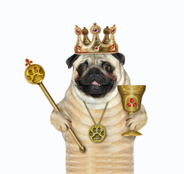 istock Pug in crown holds gold scepter 1281091895