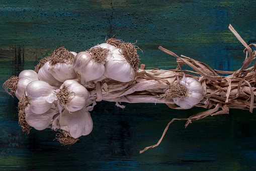 Closeup of whole garlic cloves on a colored background.