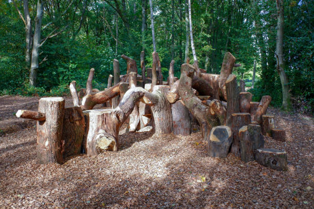 zona de juegos naturales o guaridas construidas con troncos de roble talados de forma sostenible en chorleywood common, hertfordshire, inglaterra, reino unido - glade england autumn forest fotografías e imágenes de stock