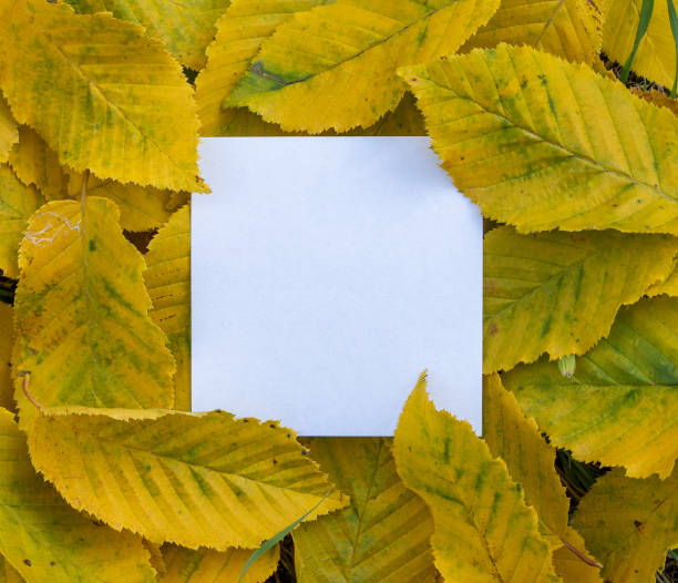 istock Creative arrangement made with autumn leaves with paper card note, concept with creative copy space 1281098987