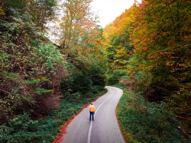istock High angle view of man walking alone on road in autumn forest 1281099605
