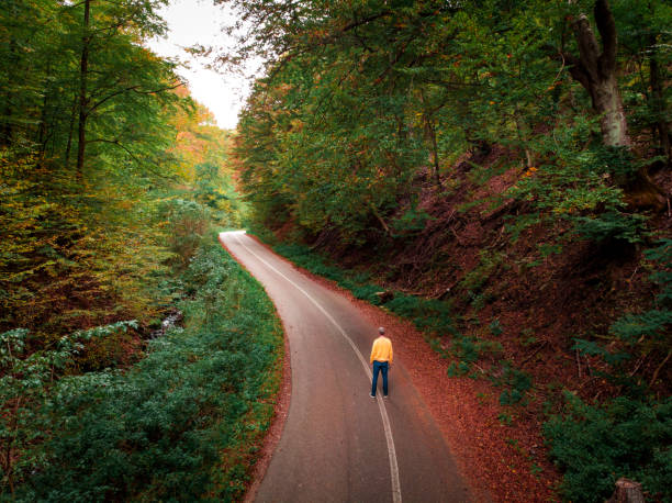 istock High angle view of man walking alone on road in autumn forest 1281099617