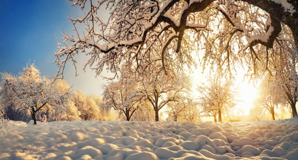 istock Winter landscape with snow and gold sunlight 1281100287