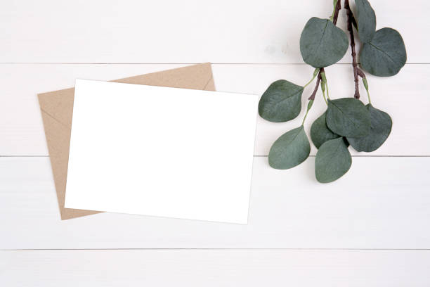 istock Blank paper sheet copy space with mockup and leaf on wooden table, card, poster and envelope, postcard decoration your design or branding, simplicity and minimal, nobody, flat lay, top view. 1281100579