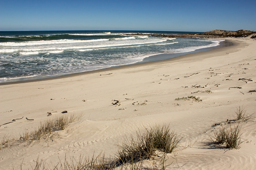 A sandy cove in the West coast of South Africa, with wind ripples on the sparsely vegetated dunes in the foreground, on a sunny day
