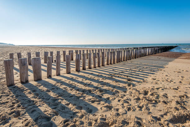 istock Traditional wooden breakwater on an empty Dutch beach 1281103284