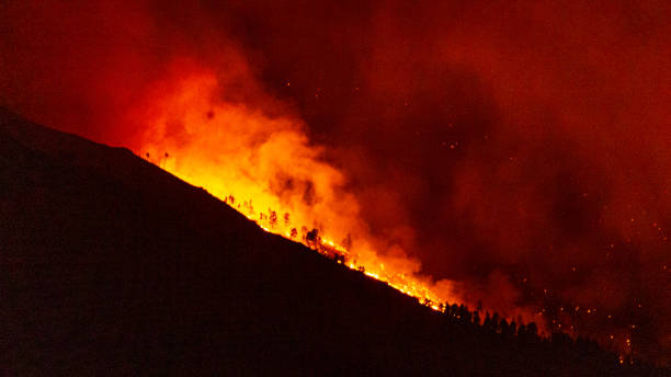 Cal Wood Fire Burning Forest and Structures BOULDER, CO, USA - OCTOBER 17, 2020: Fire burns up the foothills of the Rocky Mountains northwest of Boulder, Colorado as the Cal Wood wildfire, the largest in Boulder County history, rages overnight and into Boulder suburbs. military tanker airplane photos stock pictures, royalty-free photos & images