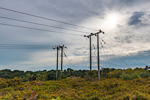 Electric power lines over a heath