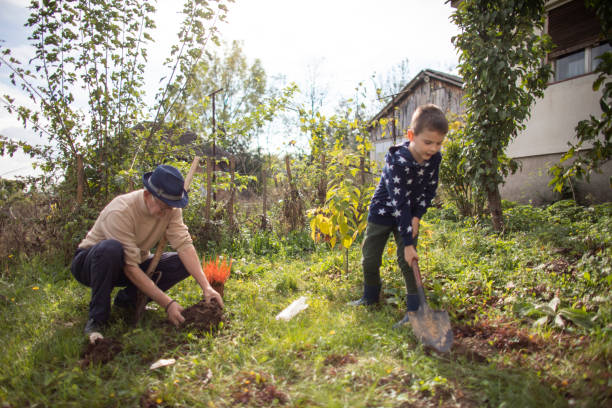 istock Active senior man enjoying planting with his grandson 1281105841