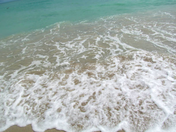 istock Coast of Miami Beach, Florida, USA. 1281108566