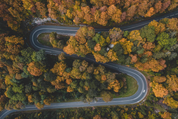 秋の葉の中を運転する - car winding road highway autumn ストックフォトと画像