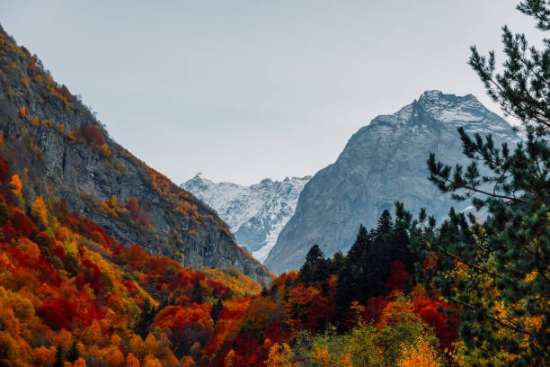istock Rocky mountains and autumnal forest. High mountain landscape 1281108997