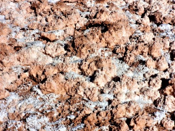 istock Arizaro salt flat, Salta, Argentina 1281109251