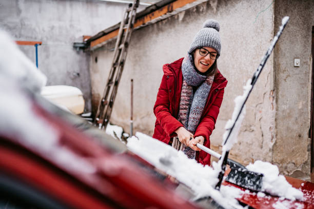 woman cleaning snow off her car - flower bed front or back yard ornamental garden flower imagens e fotografias de stock