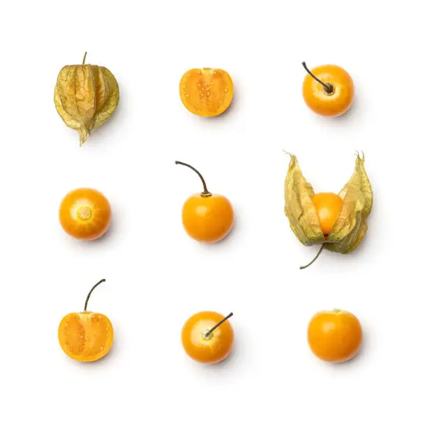 Collection of physalis berries isolated on white background. Set of multiple images. Part of series