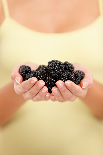 Woman holding fresh blackberries in hands closeup. Person showing handful of black berries fruits in woman hands. Blackberry fruit berry healthy diet concept.
