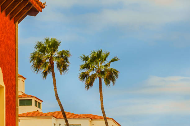 istock Palm trees among houses in blue sky 1281114307
