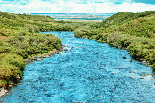 Savage River Tributary in Denali National Park in Alaska, USA