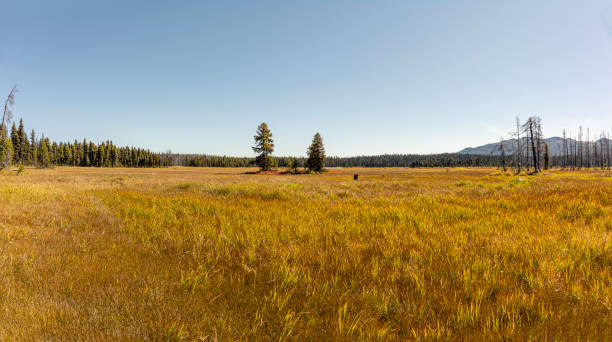 istock Tweedsmuir Provincial Park 1281116422