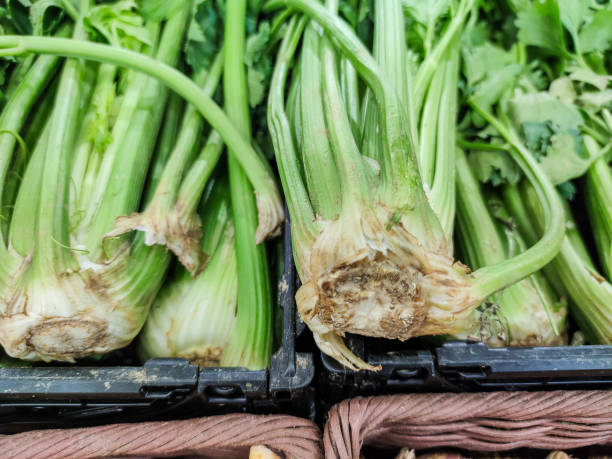 Group of celery branches sold on a market Selected focus on Group of celery branches sold on a market celery heart stock pictures, royalty-free photos & images