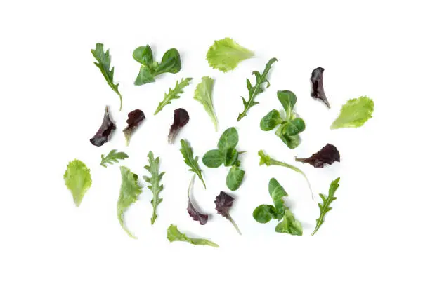 Leaves of Roman Salad "Misticanza" Mixed green salad isolated on white background
