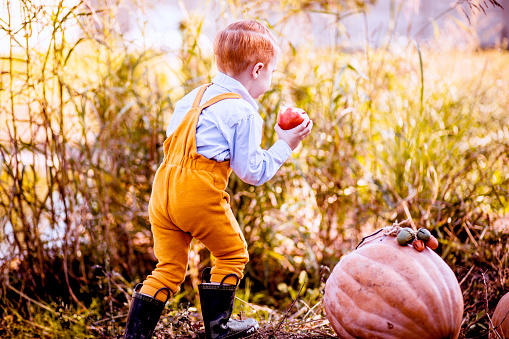 Playful Caucasian toddler boy playing with pumpkin, during Halloween holiday