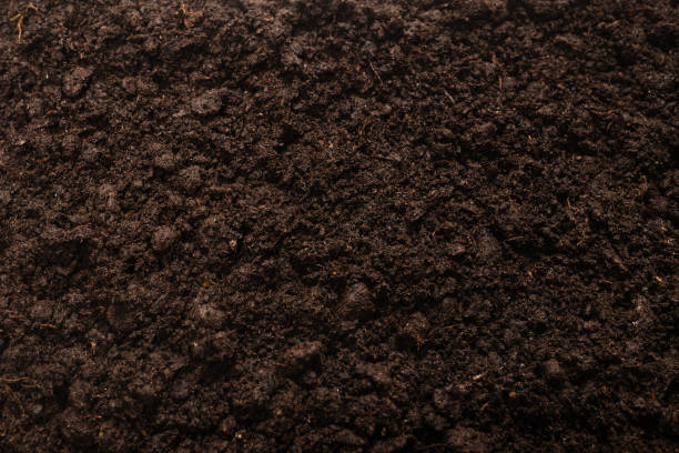 istock Black land for plant background. 1281122179