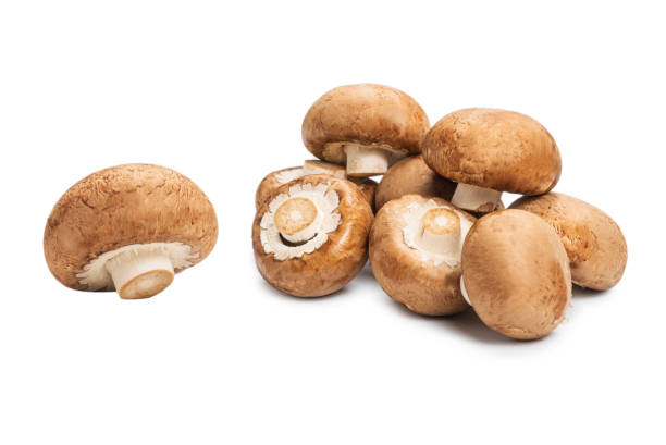 istock Tasty mushroom isolated on white background. 1281122217