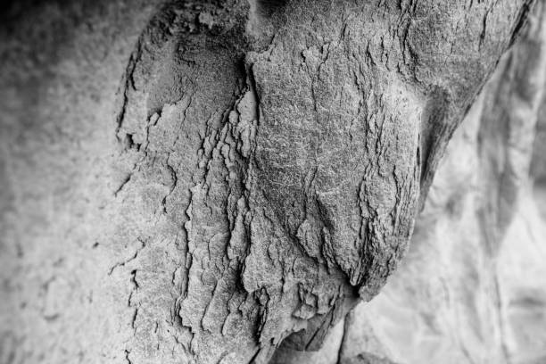 istock Image of the surface of stone. Rock surface. 1281123650