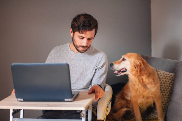 istock Young man working at home with his dog 1281130324