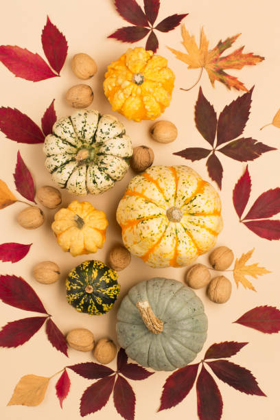 istock Creative autumn, thanksgiving, fall, halloween concept. Top view. 1281131931