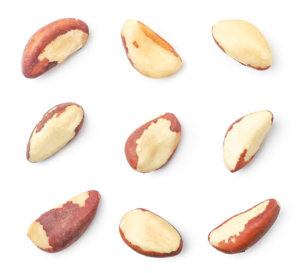 istock Brazil nut set on a white background, isolated. The view from top 1281133197