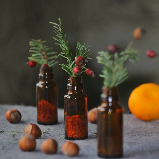 Winter still life