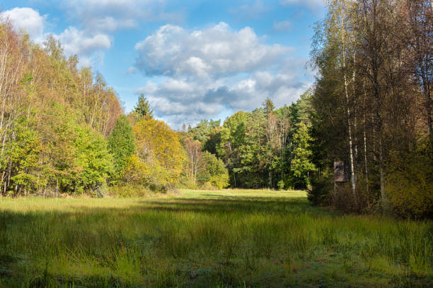 istock Hunting tower by a clearing in the woods at fall.. 1281136194