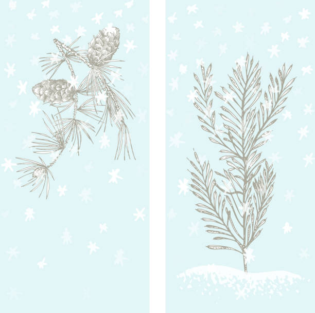 青い雪の背景に隔離されたイチイの木と松ぼっくり冬の植物とクリスマスの新年カードを設定します。手描きのヴィンテージスケッチボタニカルアート。彫刻スタイル。ベクトルの図 - christmas tree dirty winter grunge点のイラスト素材／クリップアート素材／マンガ素材／アイコン素材