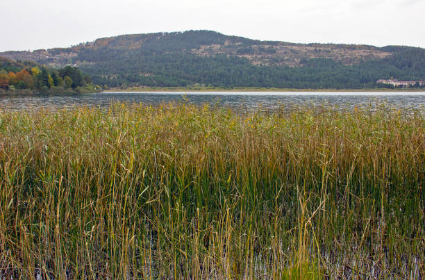 istock View of Autumn Lake 1281138278