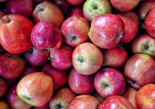 istock Fresh organic apples showing in box 1281139194
